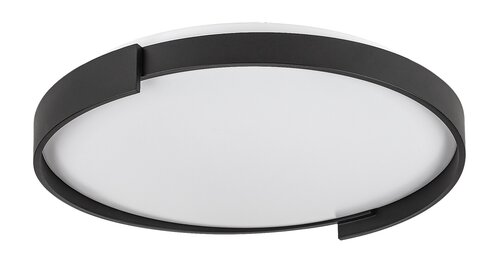 Laleh (71306)