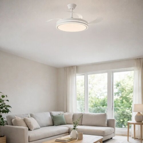 Fluara (71364)