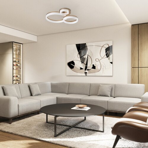 Amilia (71383)