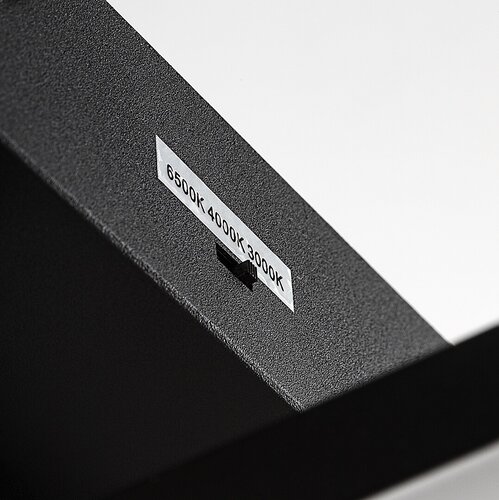 Amilia (71386)