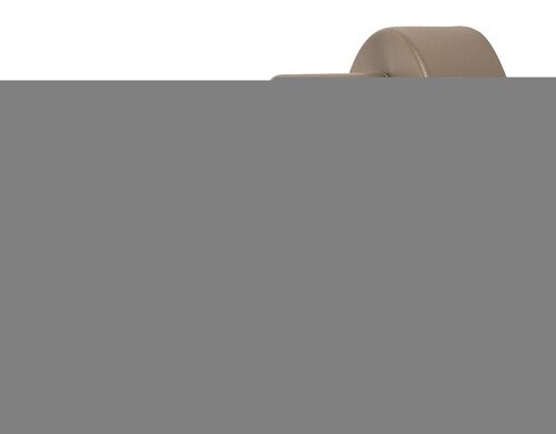Lianet (73098)