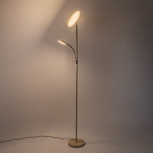 Halina (74083)