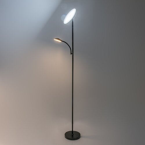 Halina (74084)