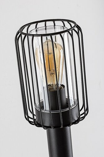 Tarpa (77108)